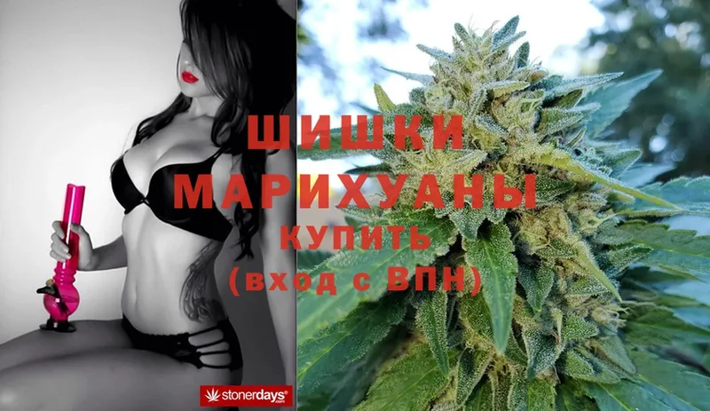 где найти наркотики  Балтийск  OMG сайт  Конопля OG Kush 